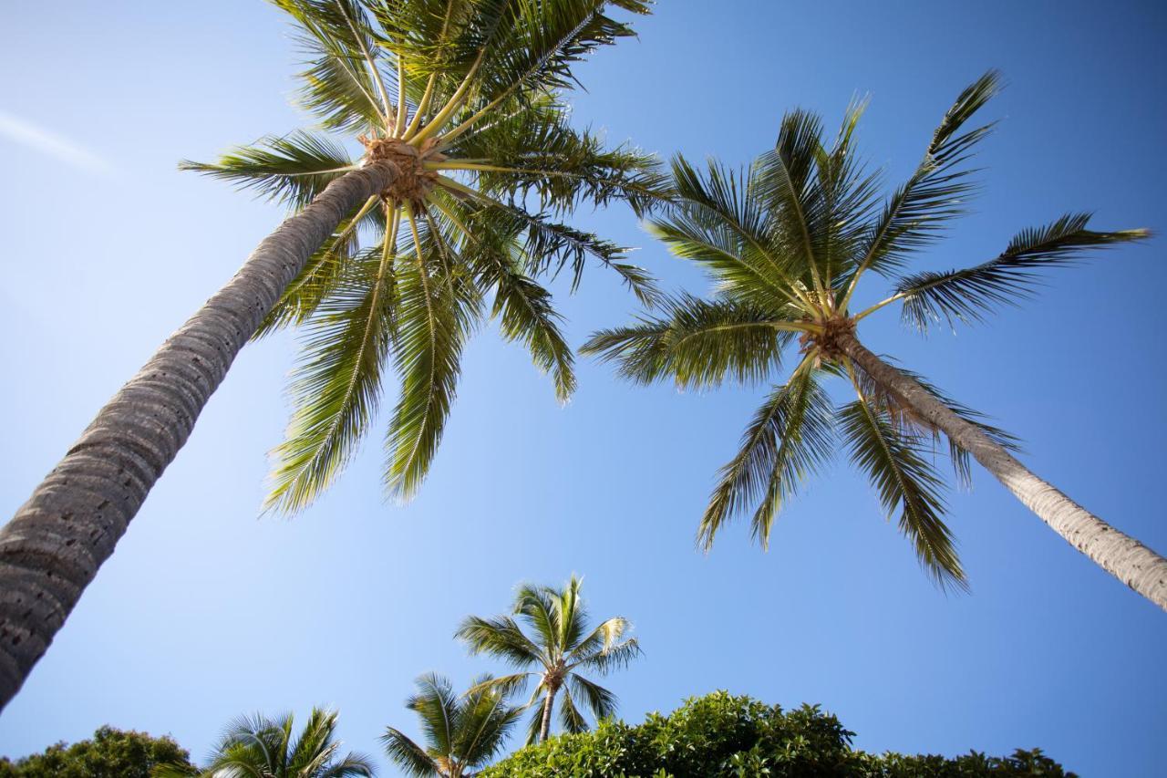 Central Ocean View Studio 27A Airlie Beach Εξωτερικό φωτογραφία